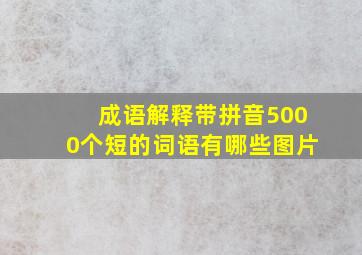 成语解释带拼音5000个短的词语有哪些图片