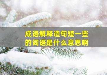 成语解释造句短一些的词语是什么意思啊