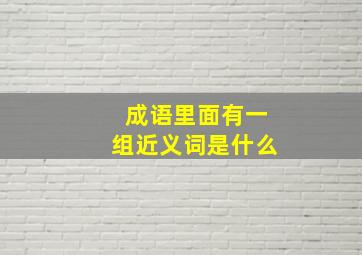 成语里面有一组近义词是什么