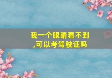 我一个眼睛看不到,可以考驾驶证吗