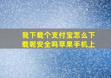 我下载个支付宝怎么下载呢安全吗苹果手机上