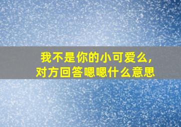 我不是你的小可爱么,对方回答嗯嗯什么意思