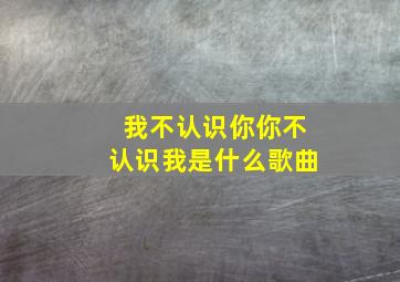 我不认识你你不认识我是什么歌曲