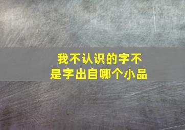 我不认识的字不是字出自哪个小品