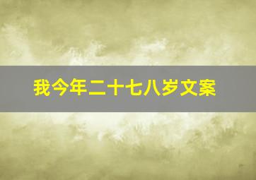 我今年二十七八岁文案