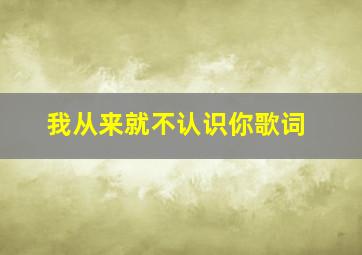 我从来就不认识你歌词