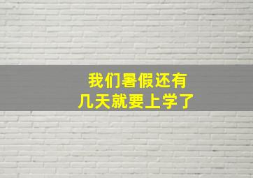 我们暑假还有几天就要上学了