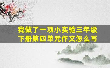 我做了一项小实验三年级下册第四单元作文怎么写