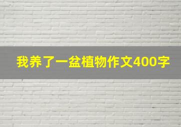 我养了一盆植物作文400字