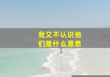 我又不认识他们是什么意思