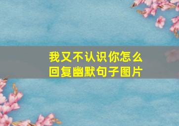 我又不认识你怎么回复幽默句子图片