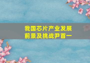 我国芯片产业发展前景及挑战尹首一