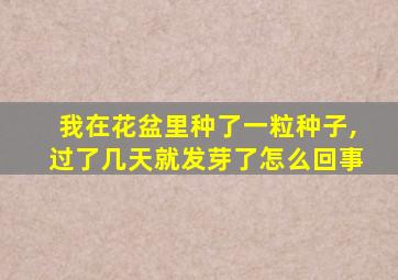 我在花盆里种了一粒种子,过了几天就发芽了怎么回事