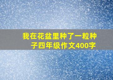 我在花盆里种了一粒种子四年级作文400字