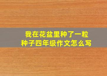 我在花盆里种了一粒种子四年级作文怎么写