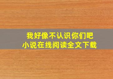 我好像不认识你们吧小说在线阅读全文下载