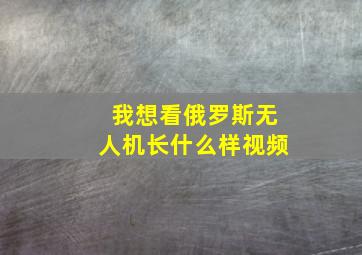 我想看俄罗斯无人机长什么样视频