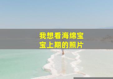 我想看海绵宝宝上期的照片