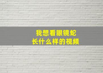 我想看眼镜蛇长什么样的视频