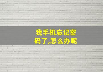 我手机忘记密码了,怎么办呢