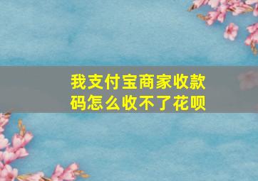 我支付宝商家收款码怎么收不了花呗