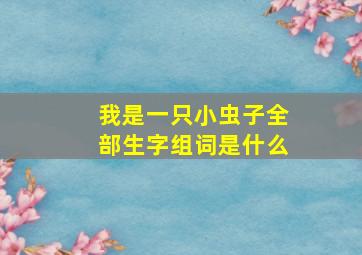 我是一只小虫子全部生字组词是什么