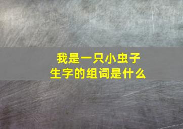 我是一只小虫子生字的组词是什么