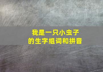 我是一只小虫子的生字组词和拼音