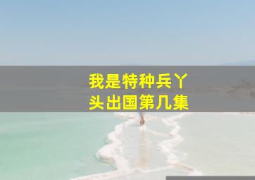 我是特种兵丫头出国第几集