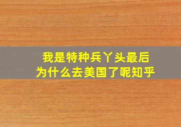 我是特种兵丫头最后为什么去美国了呢知乎