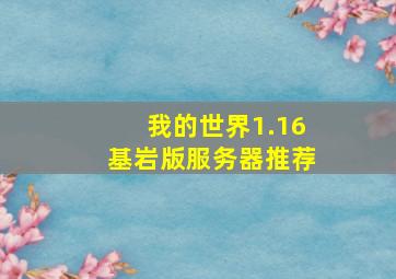 我的世界1.16基岩版服务器推荐