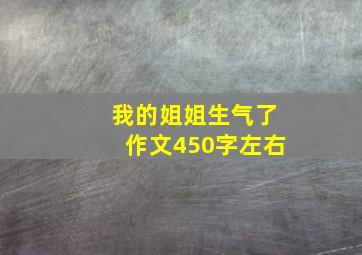 我的姐姐生气了作文450字左右