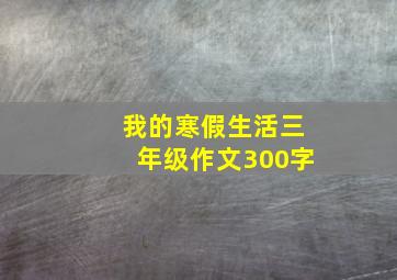 我的寒假生活三年级作文300字