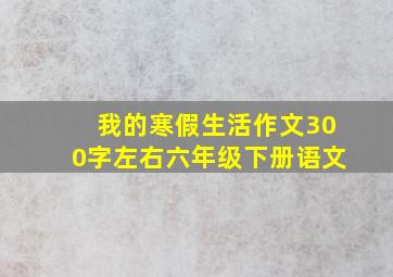 我的寒假生活作文300字左右六年级下册语文