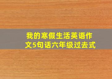 我的寒假生活英语作文5句话六年级过去式