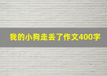 我的小狗走丢了作文400字