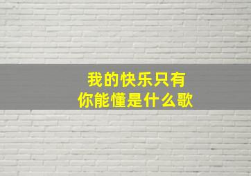 我的快乐只有你能懂是什么歌