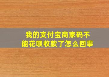 我的支付宝商家码不能花呗收款了怎么回事