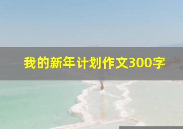 我的新年计划作文300字