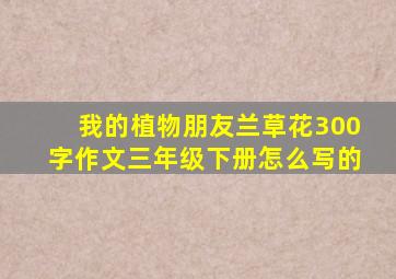 我的植物朋友兰草花300字作文三年级下册怎么写的