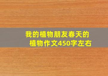 我的植物朋友春天的植物作文450字左右