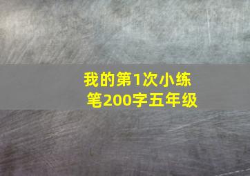 我的第1次小练笔200字五年级