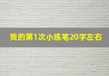 我的第1次小练笔20字左右