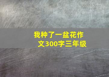 我种了一盆花作文300字三年级