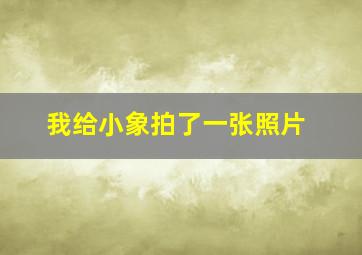 我给小象拍了一张照片