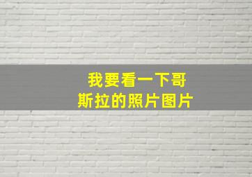 我要看一下哥斯拉的照片图片