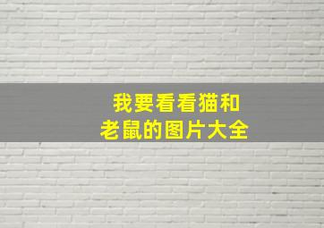 我要看看猫和老鼠的图片大全