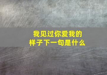 我见过你爱我的样子下一句是什么