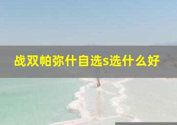 战双帕弥什自选s选什么好