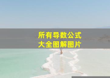 所有导数公式大全图解图片